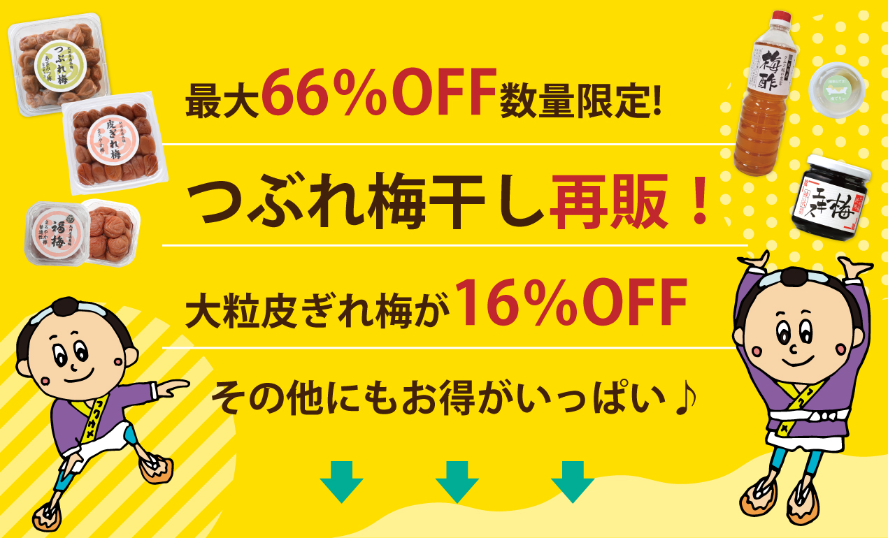 セール見どころ一覧