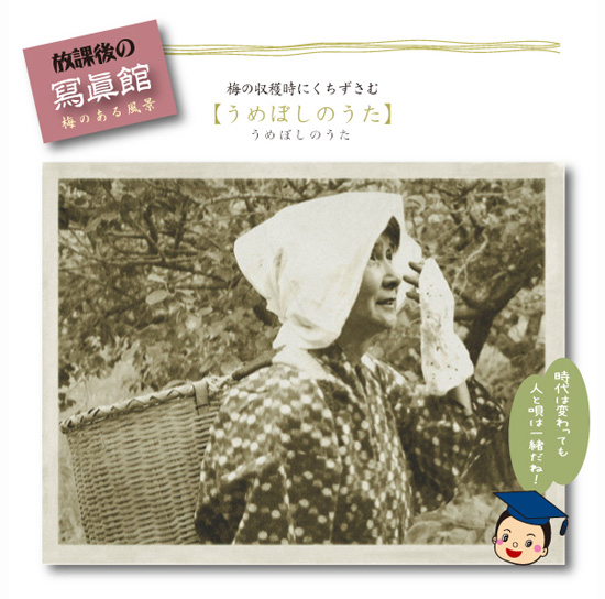 うめぼしのうた うめぼしのうた