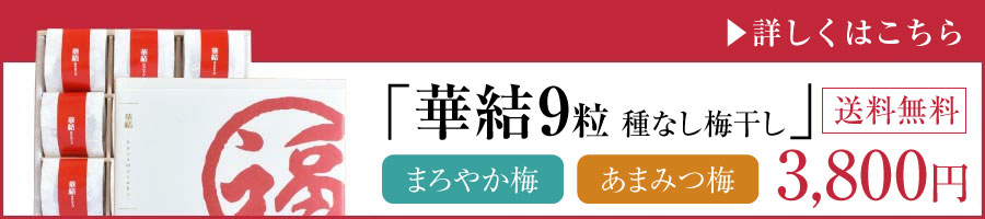 華結9粒種無し梅干し