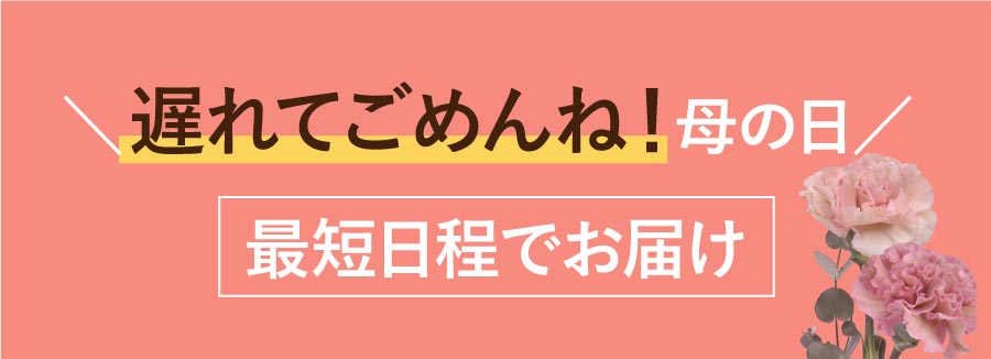まだ間に合う母の日