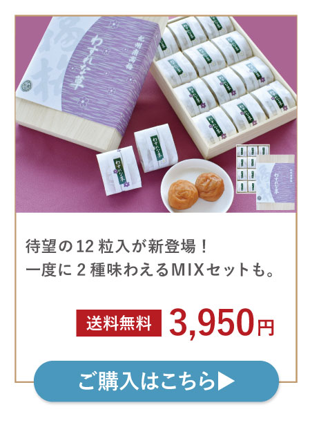 わすれな草12粒