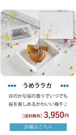 梅ララカ