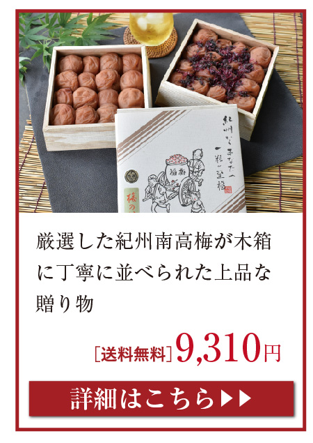 梅の鏡二段