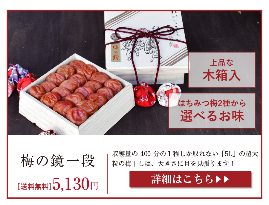 梅の鏡一段