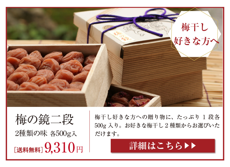 梅の鏡二段