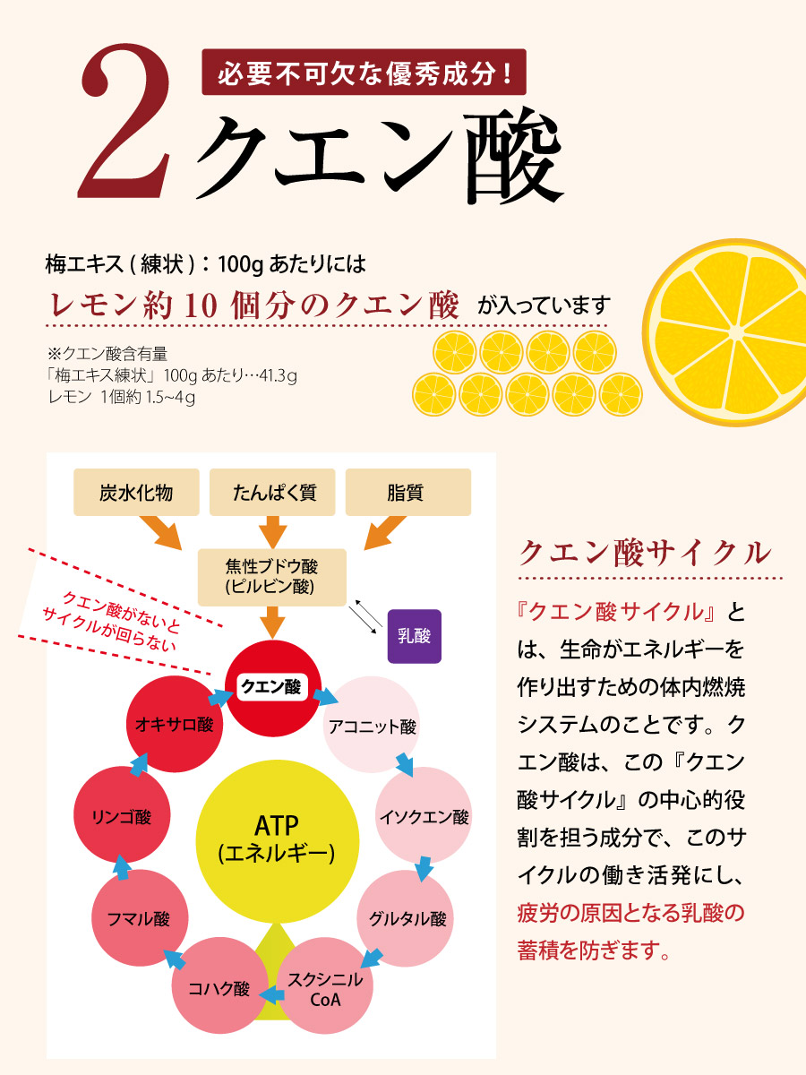 707円 【お買得！】 梅エキス 梅肉エキス 90ｇ 5％割引キャンペーン中