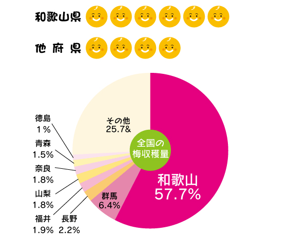 和歌山県は全国の梅生産量の約60%を占めています。