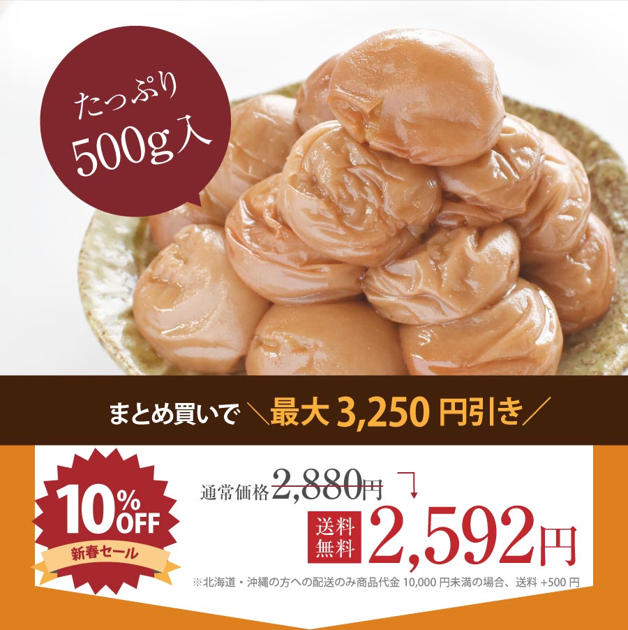 皮ぎれ新春セール10％OFF