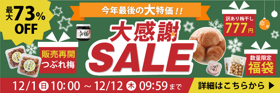 紀州南高梅 梅干し はちみつ ギフト 贈答 お歳暮 しそ巻梅