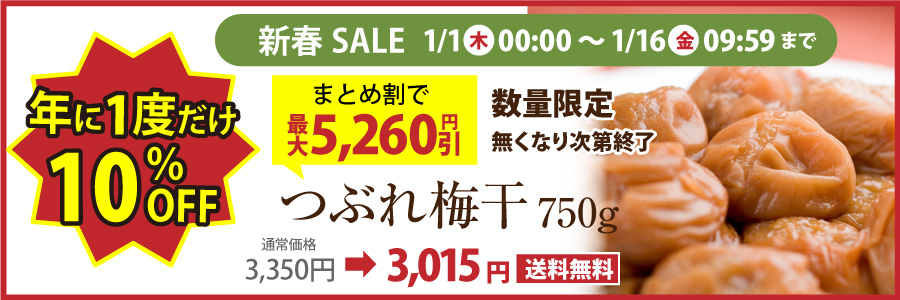 ji_tubure_newyearSALE900.jpg