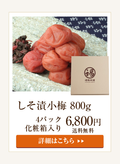 しそ漬小梅800g