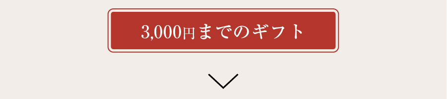 ～3,000円までのギフト