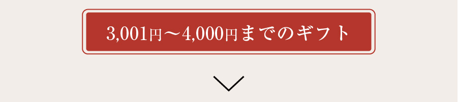 3000円から4,000円までのギフト