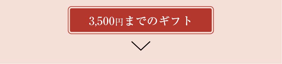 ～3,000円までのギフト