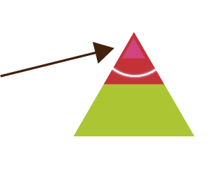 Aランクの梅のピラミッドの画像