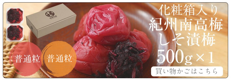 梅干し 無添加 特選紀州南高梅 【しそ漬梅500g（塩分約20％）】250g×2化粧箱入りしそと塩のみで漬けた昔ながらの梅干し | 紀州梅干し専門店 福 梅本舗