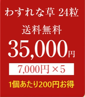 わすれな草24の商品画像