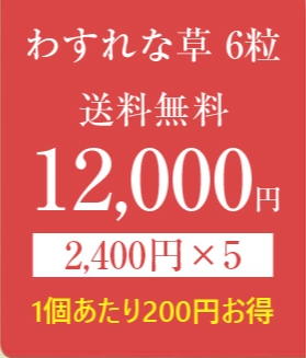 わすれな草6の商品画像