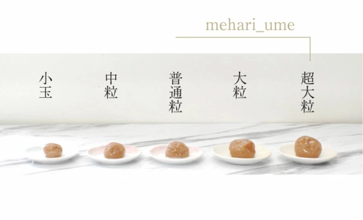 梅干しのサイズ比較の画像