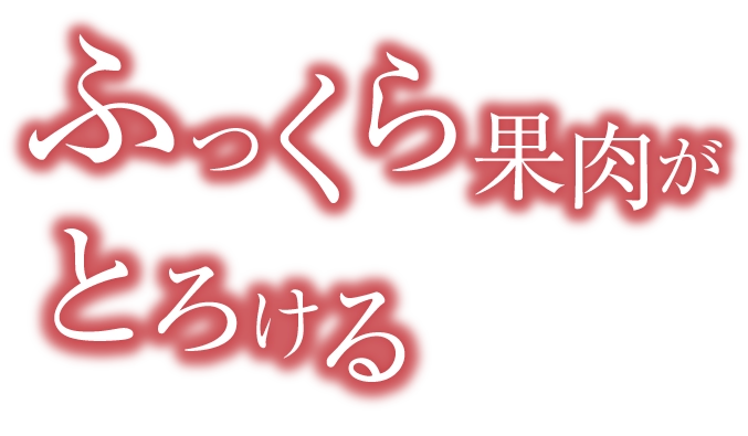 ふっくら果肉がとろける