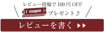 レビューを書く