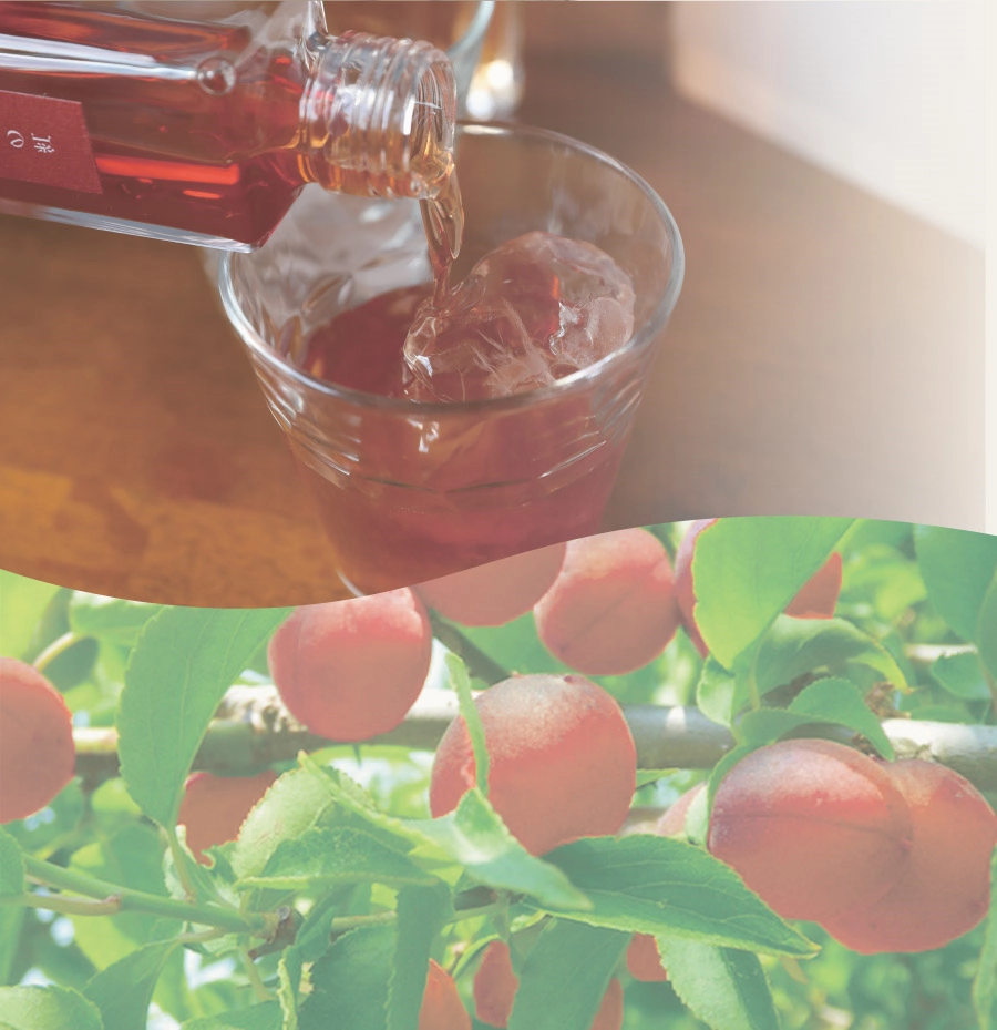 kohaku専用(完熟梅2) 楽天市場】完熟梅 2kgの通販