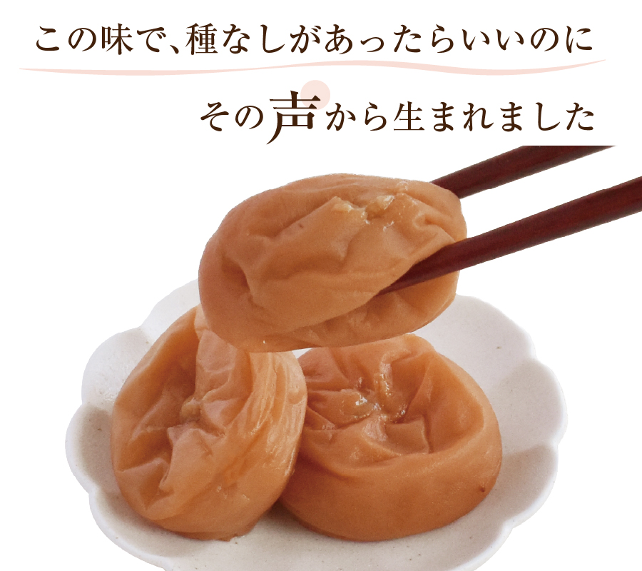 紀州特選南高梅】種なし梅干し 200g | 紀州梅干し専門店 福梅本舗