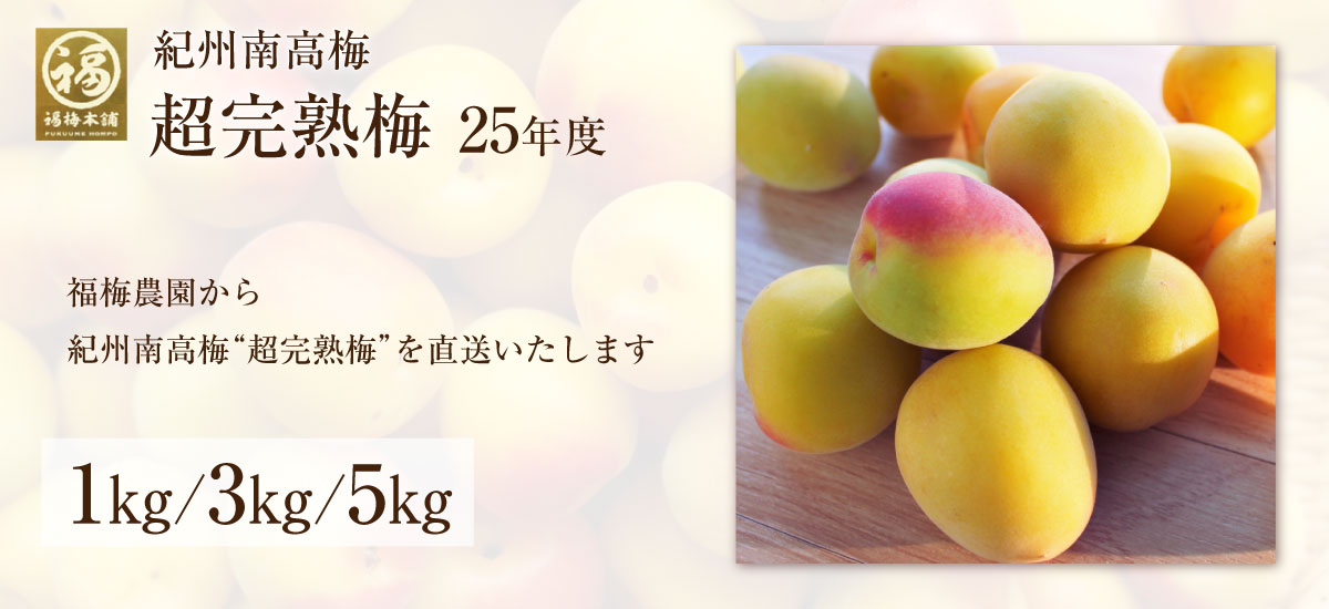 top_bnr_1200-550_ume2506.jpg