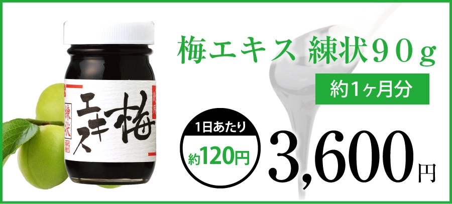 梅エキス練状90gの商品画像