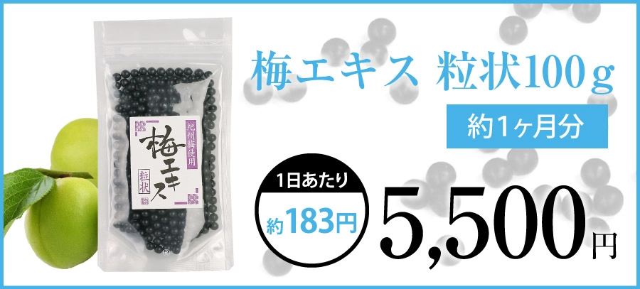 梅エキス粒状１００ｇの商品画像