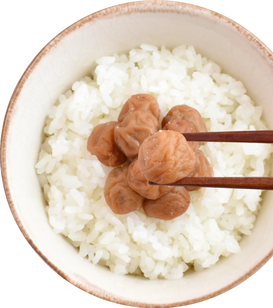 ご飯に白干小梅を乗せた写真