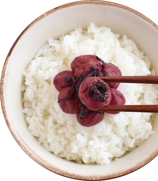 ご飯にしそ漬け小梅を乗せた写真