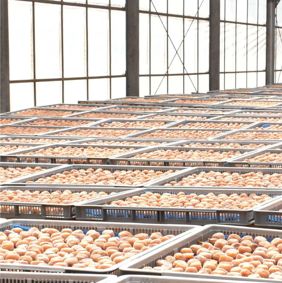 梅干し制作過程背景画像