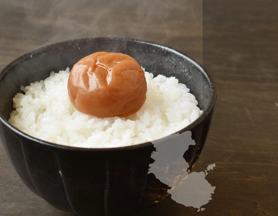 ごはんと梅干しの画像