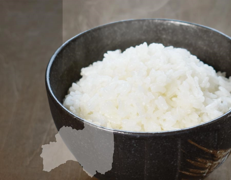 ごはんの画像