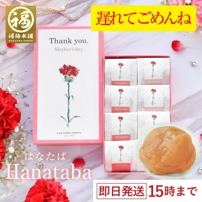 <br>最高級紀州はちみつ梅２種入り<br>母の日限定「Hanataba-はなたば-」 送料無料