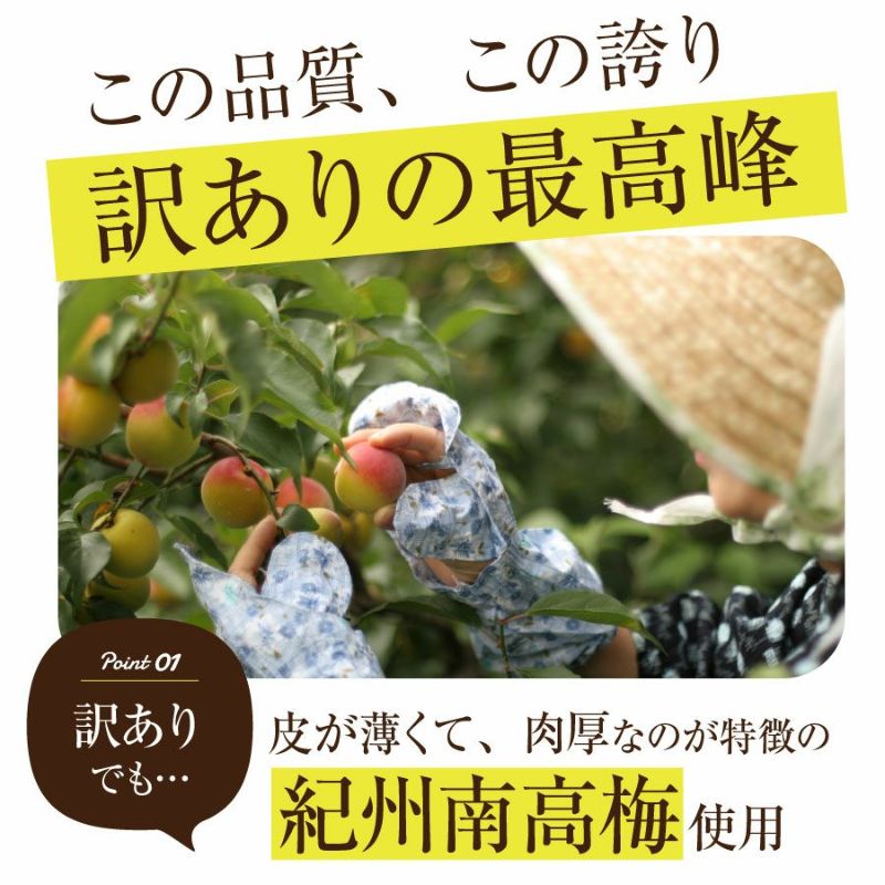 訳あり！【つぶれ梅干し 750g 】 最高品質の紀州南高梅干しのお得パック数量限定！送料無料 | 紀州梅干し専門店 福梅本舗