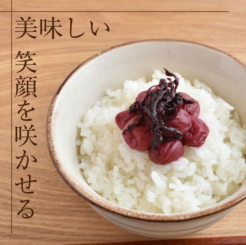 紀州産小梅【しそ漬小梅200g（塩分約20％）】食べやすい大きさのしそと