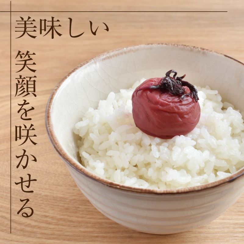 梅干し 無添加 特選紀州南高梅 【しそ漬梅1kg（塩分約20