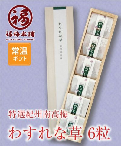 香典返し お供え 仏事 <br>紀州特選南高梅<br>【わすれな草6粒入】