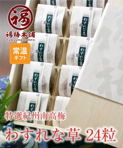 香典返し お供え 仏事 <br>紀州特選南高梅<br>【わすれな草24粒入】