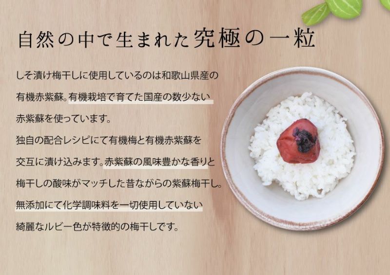 無添加 オーガニック 有機梅干し 紀州南高梅 梅干し 国産 無農薬