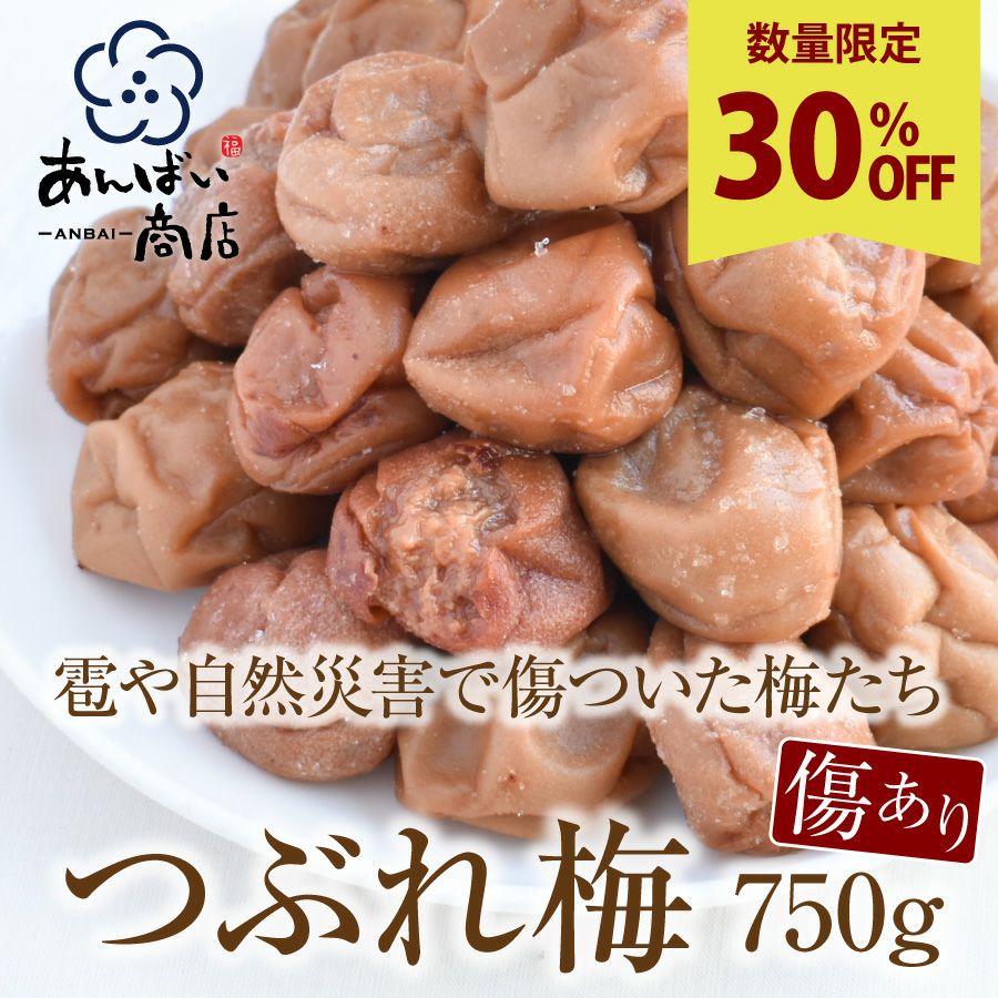 雹や自然災害で傷ついた梅たち・つぶれ梅