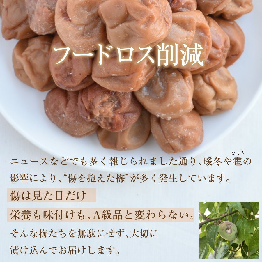 ニュースなどでも多く報じられました通り、暖冬や雹の影響により、“傷を抱えた梅”が多く発生しています。 傷は見た目だけ 栄養も味付けも、A級品と変わらない。 そんな梅たちを無駄にせず、大切に 漬け込んでお届けします。