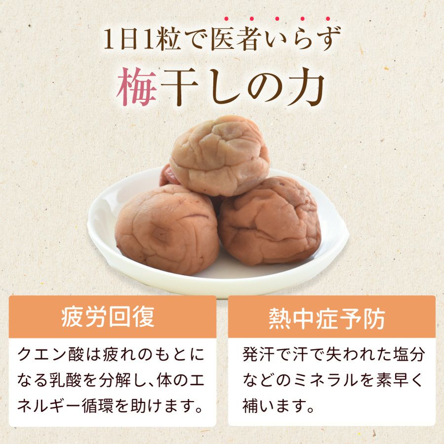 1日1粒で医者いらず・疲労回復、熱中症予防