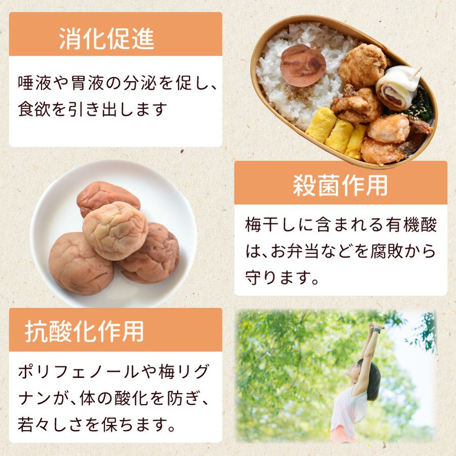 消化促進、殺菌作用、抗酸化作用に、梅干しの力